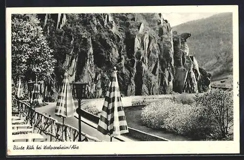 AK Walporzheim /Ahr, Bunte Kuh, Terrasse mit Blick zur Strasse und Berghang