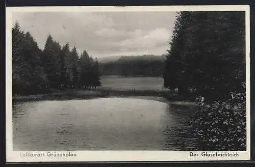 AK Grünenplan, Glasebachteich mit Waldpartie