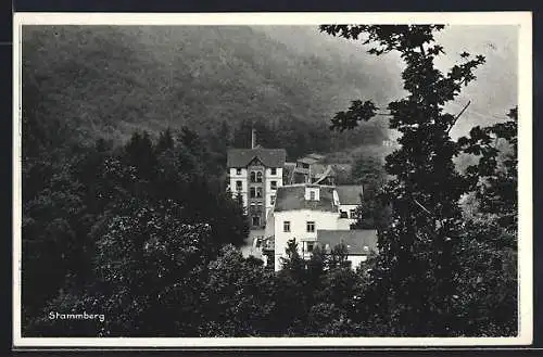AK Stammberg, Ortsansicht aus der Vogelschau