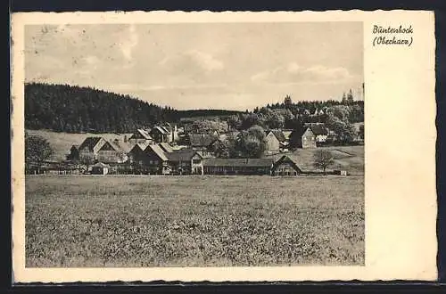 AK Buntenbock /Oberharz, Ortsansicht vom Felde aus