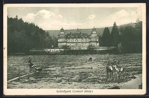 AK Crottorf /Rhld., Schlosspark mit Rehen und Hirschen