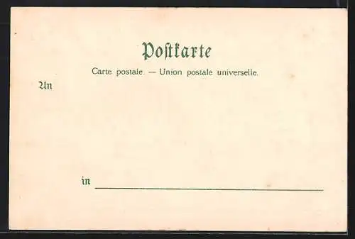 Lithographie Lindau / Bodensee, Landkarte mit Bregenz, Konstanz und Mainau, Rheinfall