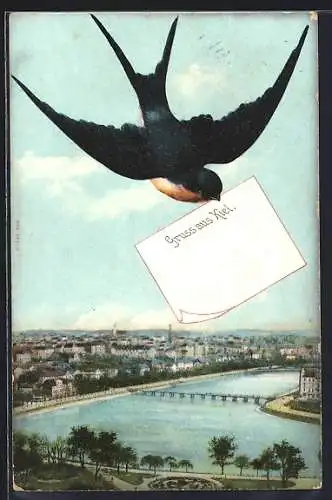 Schwalben-AK Kiel, Grusskarte mit Ortsansicht
