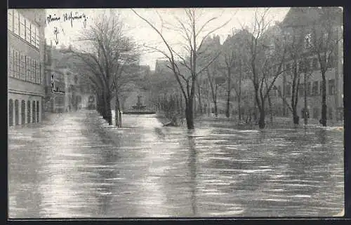 AK Nürnberg, Hochwasser-Katastrophe 1909, Marxplatz