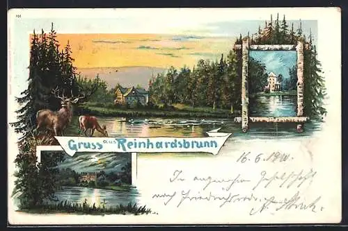 Lithographie Reinhardsbrunn, Ansichten des Schlosses, Rotwild