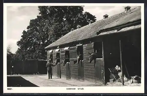 AK Cobham, Pferdestall