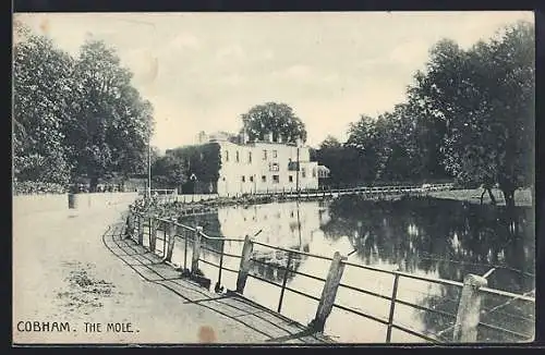 AK Cobham, The Mole