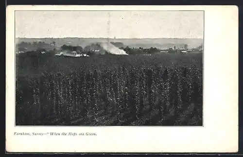AK Farnham /Surrey, When the Hops are Green