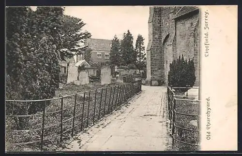 AK Lingfield /Surrey, Old Churchyard