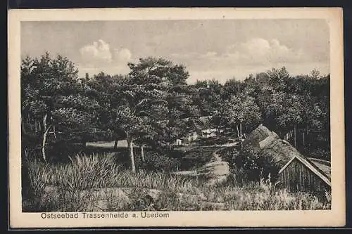 AK Trassenheide a. Usedom, Ostseebad, Ortspartie