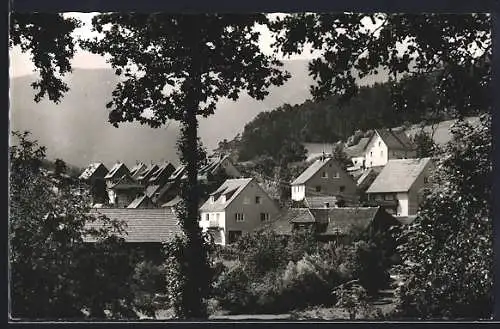 AK Friedenfels im Steinwald, Ortspartie mit Waldlandschaft