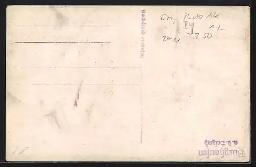 AK Burghausen a. d. Salzach, Ortsansicht mit Burg und Kirche