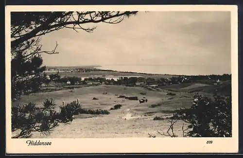 AK Hiddensee, Feldlanschaft mit Blick zum Wasser