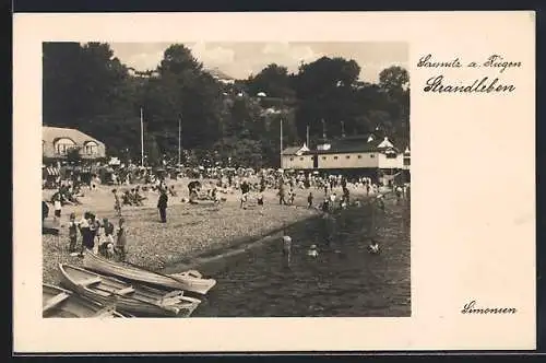 AK Sassnitz a. Rügen, Strandleben mit Badegästen