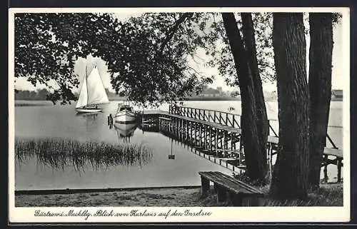 AK Güstrow i. Meckbg., Blick vom Kurhaus auf den Inselsee