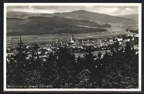 AK Waldmünchen /Bayer. Ostmark, Ortsansicht mit Blick ins Tal