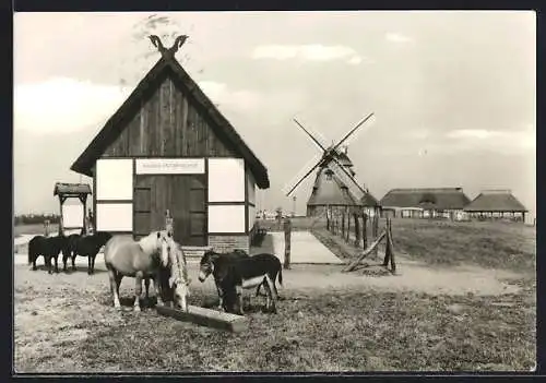 AK Gross Stieten /Wismar, Gasthaus Mecklenburger Mühle, Galerie an der Mühle