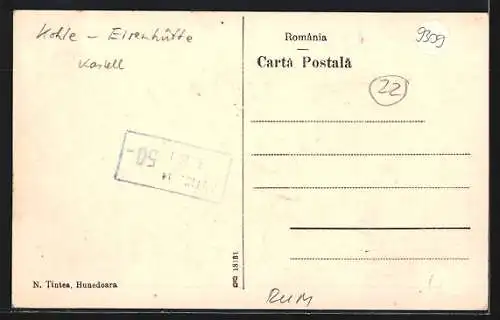 AK Hunedoara, Cetatea Castlul Huniadestilor