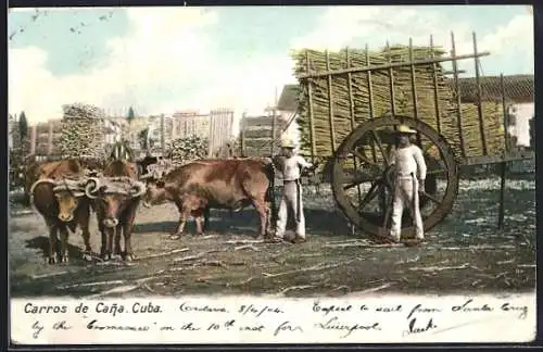 AK Havanna, Carros de Cana Cuba