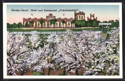 AK Werder / Havel, Baumblüte an der Friedrichshöhe