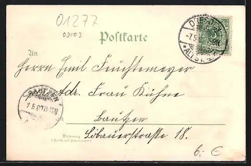Lithographie Dresden-Loschwitz, Ortsansicht, Elbdampfer und Victoria-Höhe