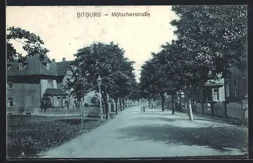 AK Bitburg, Mötscherstrasse mit Bäumen
