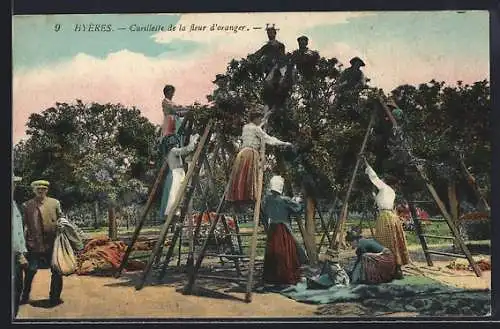 AK Hyères, Cueillette de la fleur d`oranger, Parfümeur