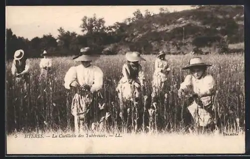 AK La Cueillette des Tubèreuses, Landwirtschaft