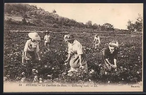 AK Hyères, La Cueillette des Roses, Parfümeur