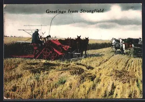 AK Strongfield, Bauern bei der Arbeit auf dem Feld