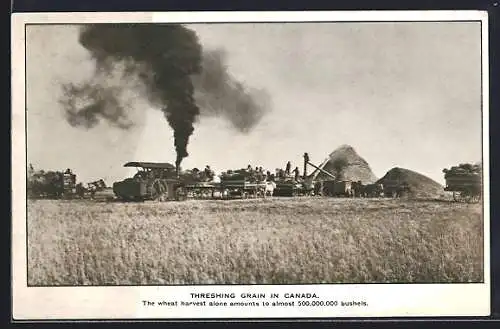 AK Canada, Threshing Grain, The wheat harvest