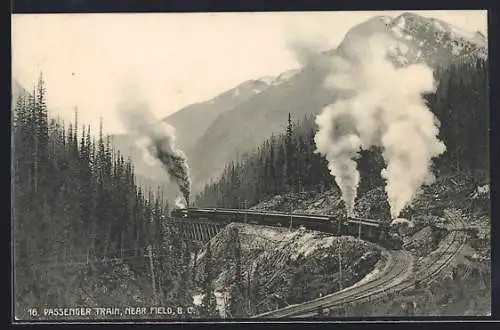 AK Near Field, Passenger Train, Zug