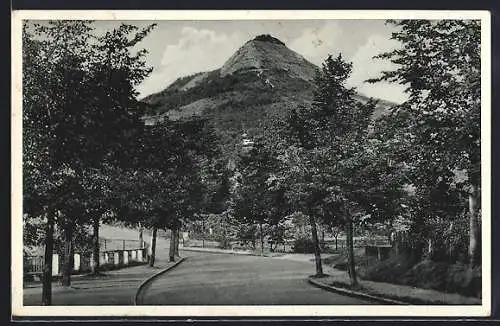 AK Jena, Blick auf den Jenzig