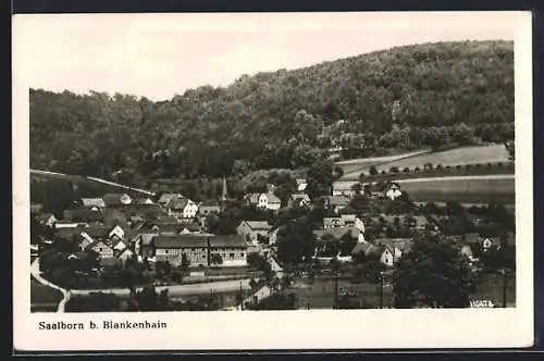 AK Saalborn b. Blankenhain, Ortsansicht aus der Vogelschau
