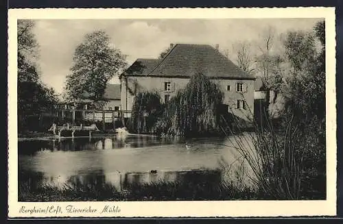 AK Bergheim /Erft, Zievericher Mühle