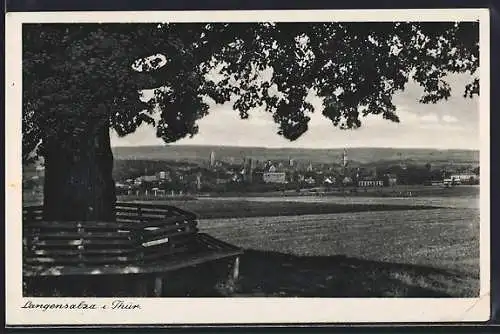 AK Langensalza i. Thür., Ortsansicht mit grossem Baum