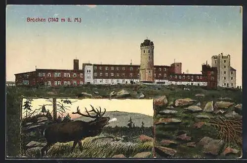 AK Brocken, Blick auf das Brockenhotel mit Hirsch