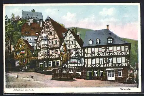 AK Miltenberg am Main, Marktplatz