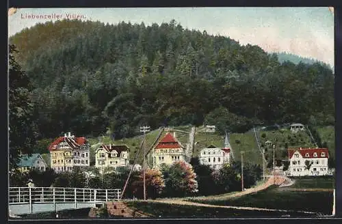 AK Bad Liebenzell, Liebenzeller Villen mit Strassenpartie