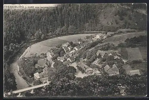 AK Treseburg i. Harz, Ortsansicht vom weissen Hirsch aus