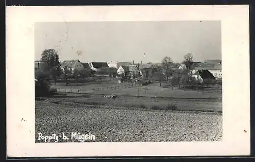 AK Poppitz b. Mügeln, Ortspartie mit Bäumen