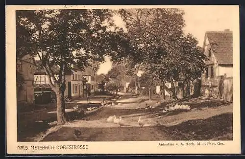 AK Metebach, Dorfstrasse mit Gänsen