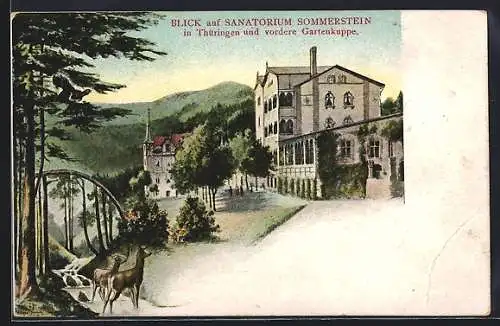 AK Saalfeld / Saale, Blick auf Sanatorium Sommerstein und vordere Gartenkuppe