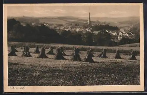 AK Much /Bez. Köln, Teilansicht und Feld mit Heugarben