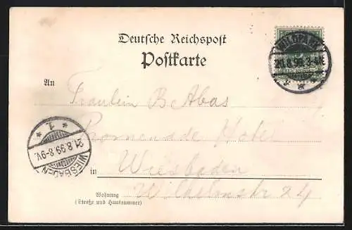 AK Potsdam, Panorama mit Stadtschloss