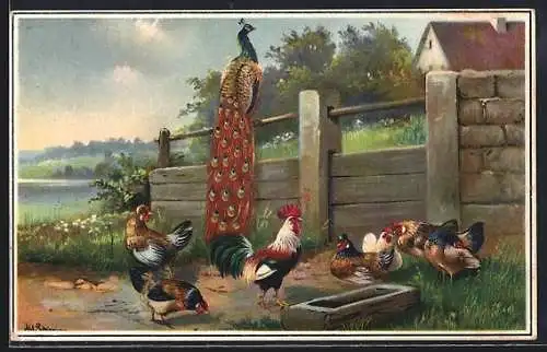 Künstler-AK Alfred Schönian: Pfau, Hahn und Hennen auf einem Bauernhof