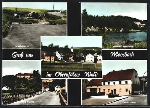 AK Moosbach / Oberpfalz, Der Kartoffelbrunnen, Die Burg Treswitz, Naturbad Sperlweiher und der Taubenbrunnen