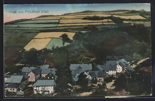 AK Pleushütte /Eifel, Teilansicht mit Strassenpartie