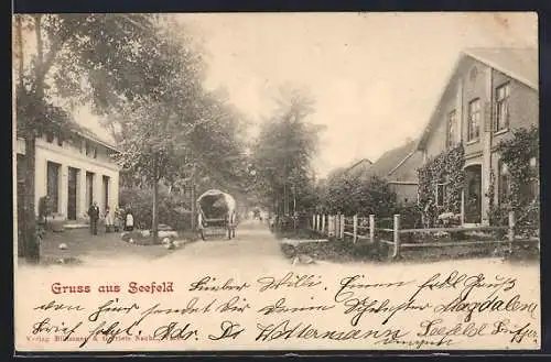 AK Seefeld / Oldenburg, Strassenpartie mit Wohnhäusern, Pferdegespann
