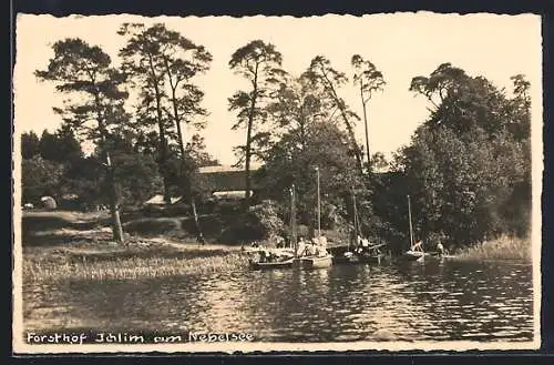 Foto-AK Lärz, Forsthof Ichlim am Nebelsee